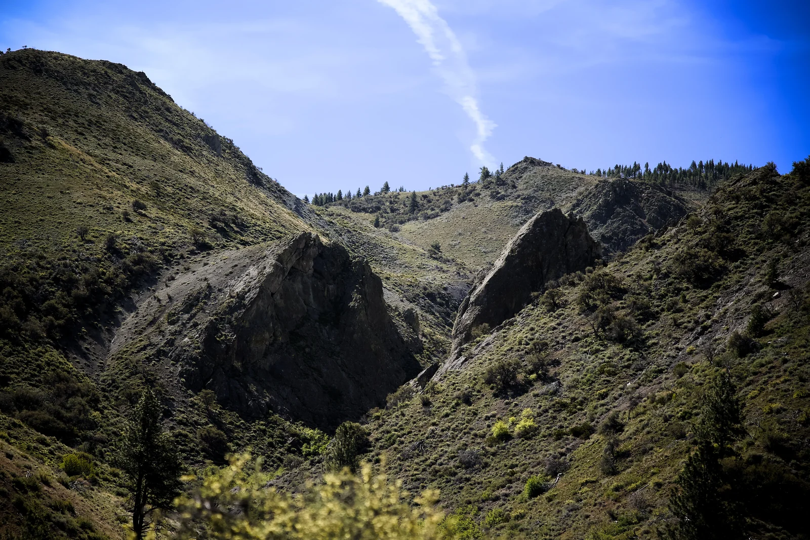Rocky canyon with jagged outcroppings and pine-covered ridgelines under a blue sky