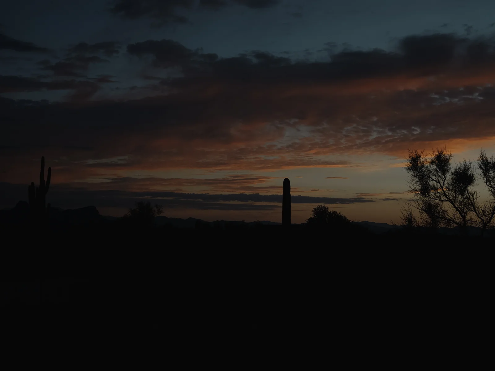 Saguaro cactus silhouettes against a vivid orange and blue desert sunset sky