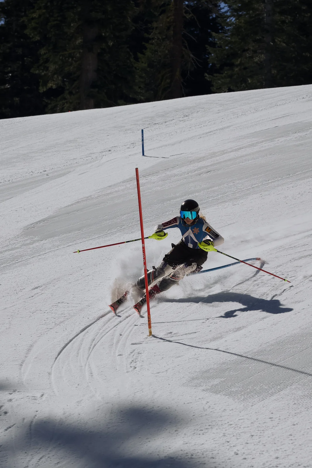 Skier in black gear and teal goggles making an aggressive slalom turn with pine trees in the background