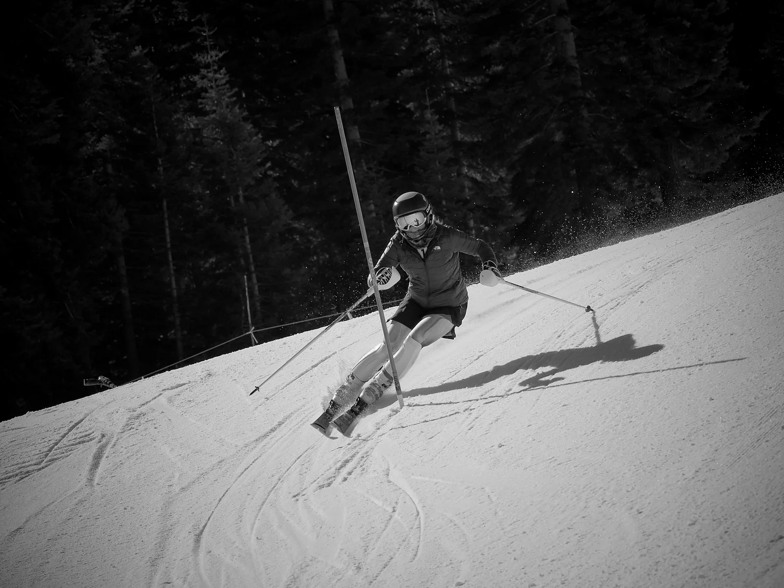 Skier in a black suit carving a tight turn in black and white, pine trees in the background