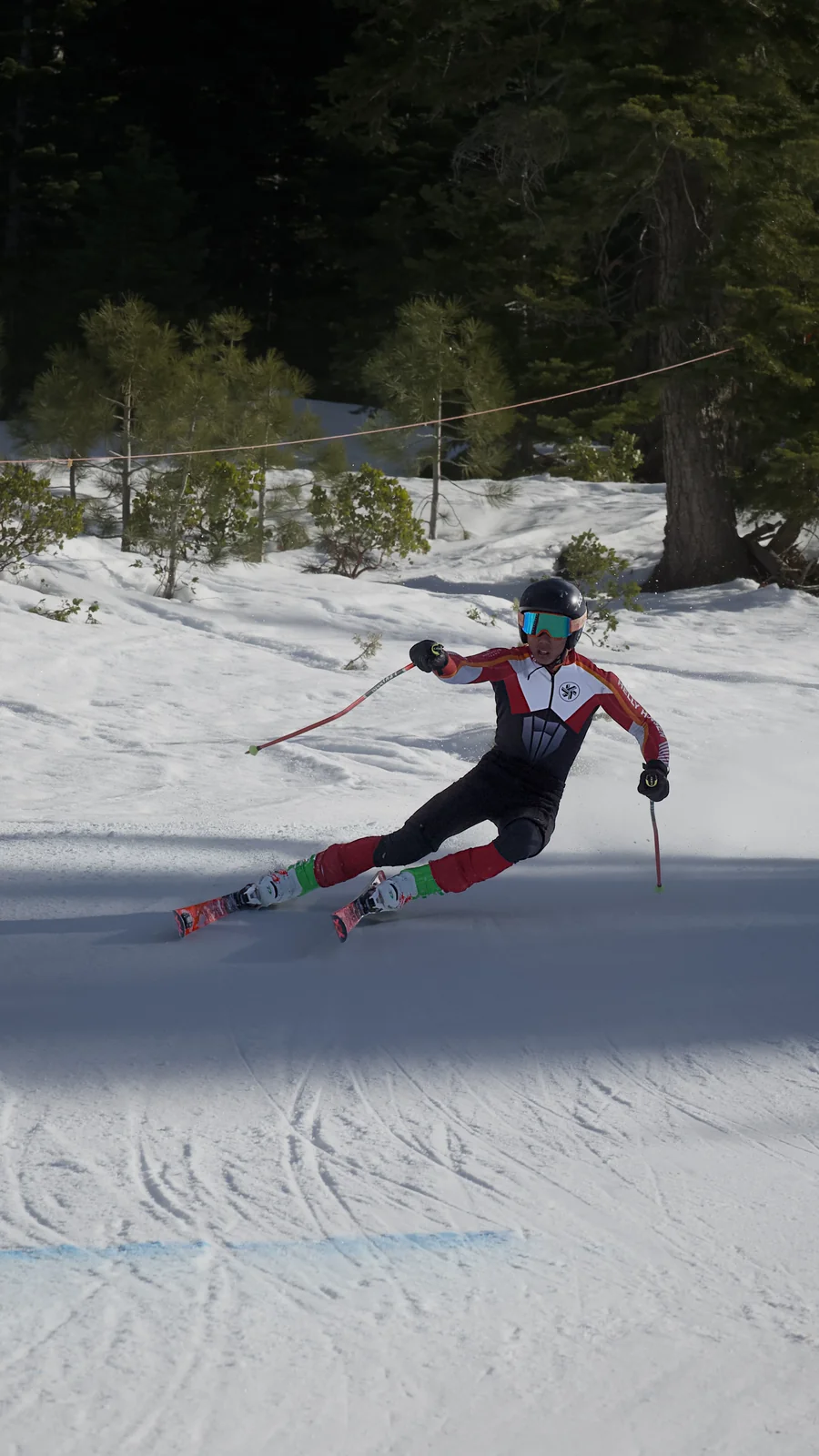 Alpine ski racer in a red and black suit carving a low turn between gates with pine trees behind
